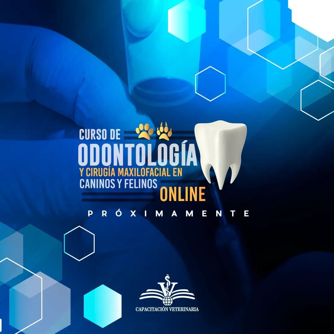 Curso de Odontología y Cirugía Maxilofacial en caninos y felinos